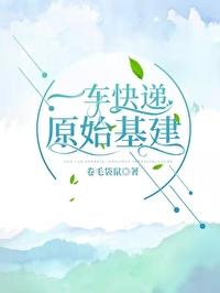 一车快递,原始基建