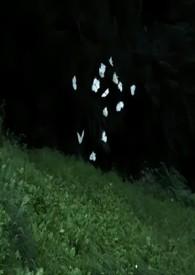 蔚然